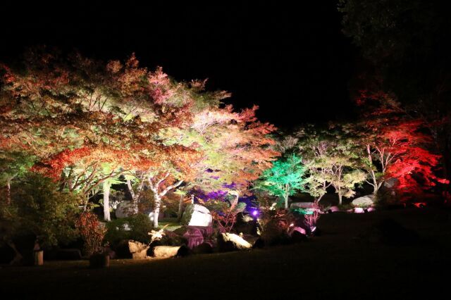 溪石園ライトアップ