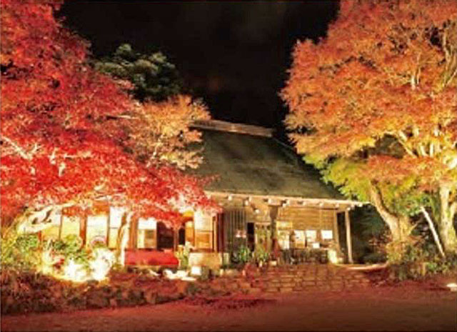 緑水庵　紅葉ライトアップ