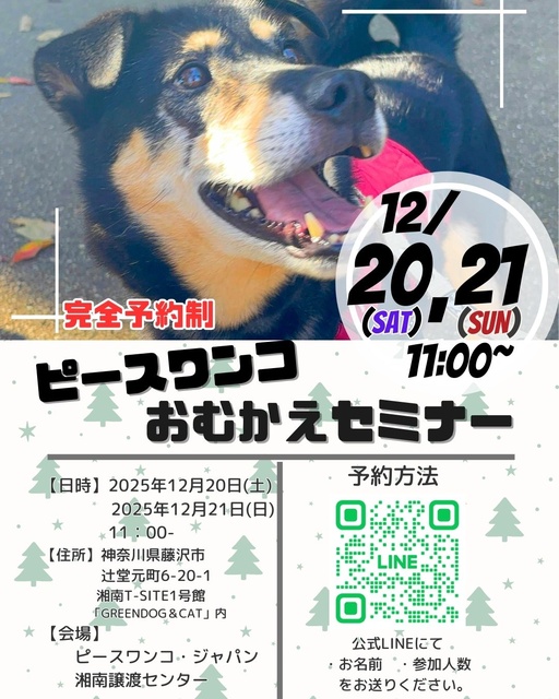保護犬お迎えセミナー（12月）