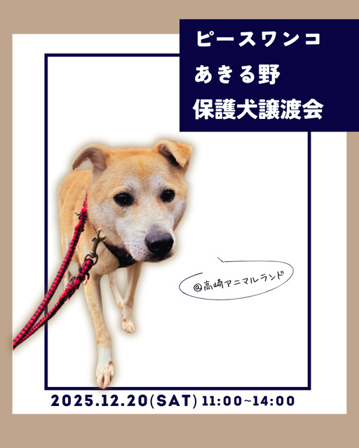 保護犬譲渡会＠高崎アニマルランド