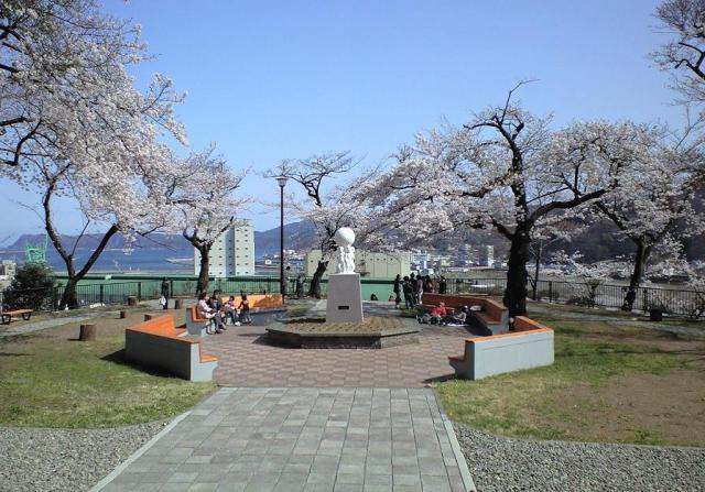 【桜・見ごろ】薬師公園