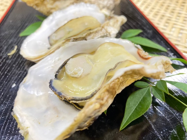 大阪府下初！！漁協直営「カキ小屋」