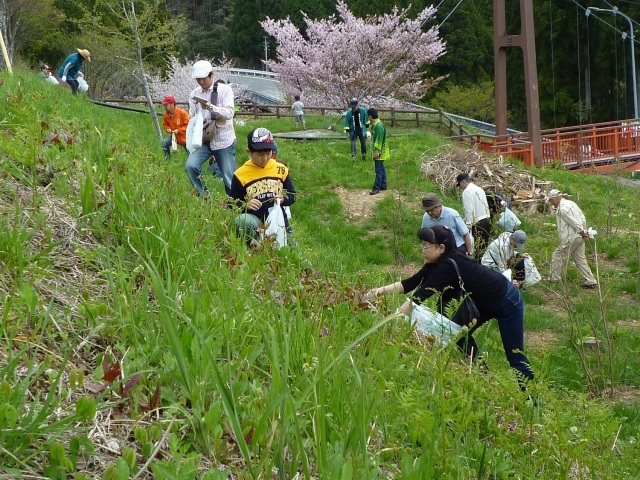 春の山菜を天ぷらや草もちにして食べよう