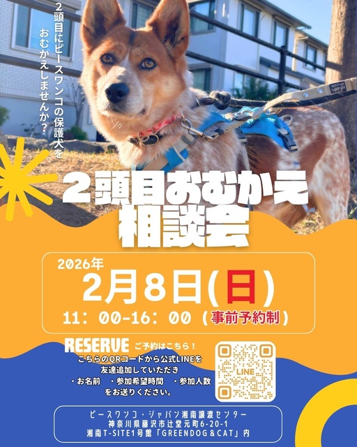 ピースワンコ2頭目おむかえ相談会