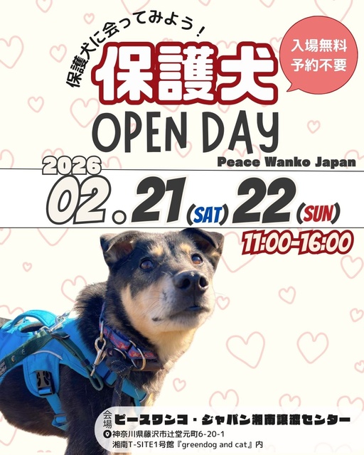 保護犬OPEN DAY（2月）