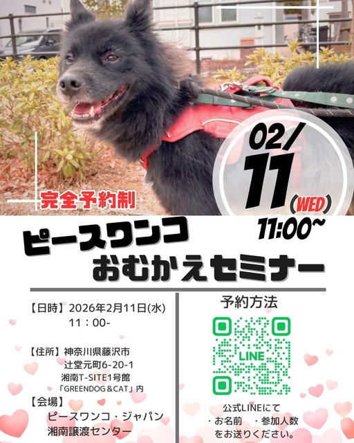 保護犬お迎えセミナー（2月）