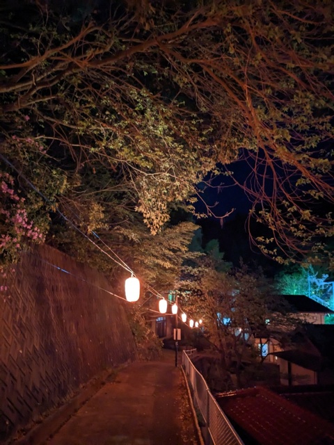 せきがね温泉街提灯点灯