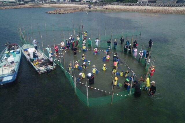 関西ではここだけ！すだて遊び体験