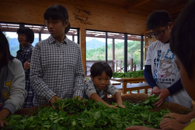 親子で楽しもう！ホタルとお茶づくりキャンプ
