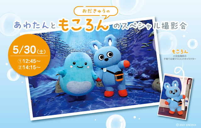 あわたん と おだきゅうの “もころん” のスペシャル撮影会