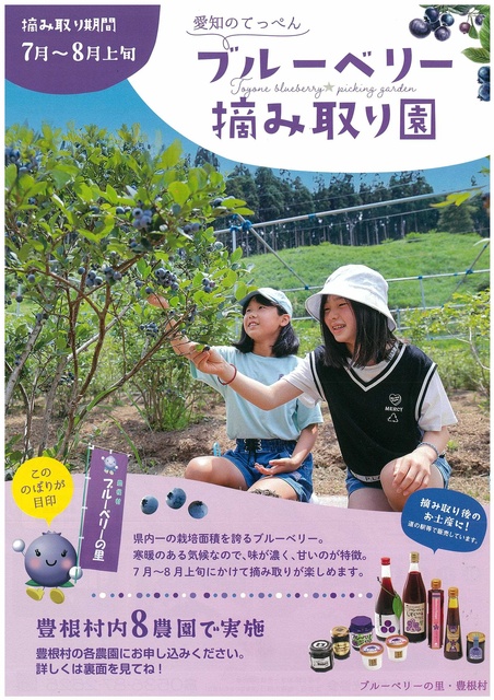 ブルーベリー摘み取り園OPEN
