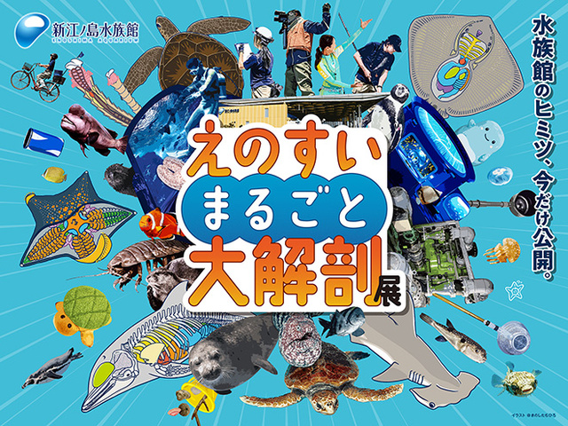 えのすいまるごと大解剖展
