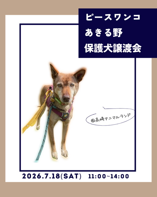 保護犬譲渡会＠高崎アニマルランド