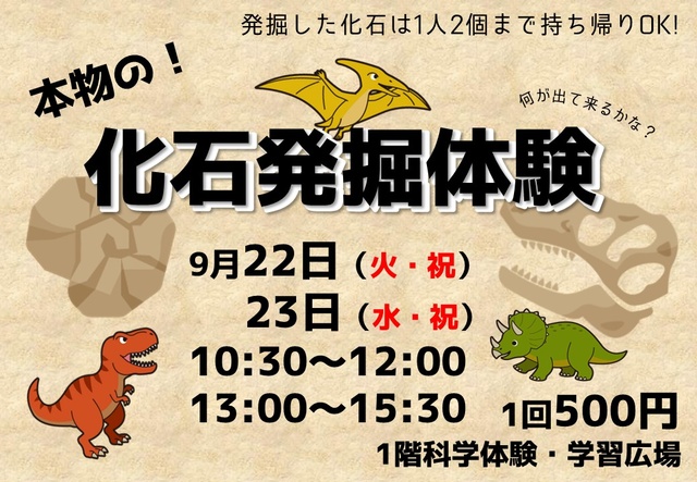 化石発掘体験