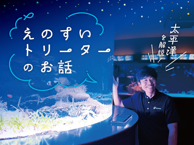太平洋を解説！ えのすいトリーターのお話