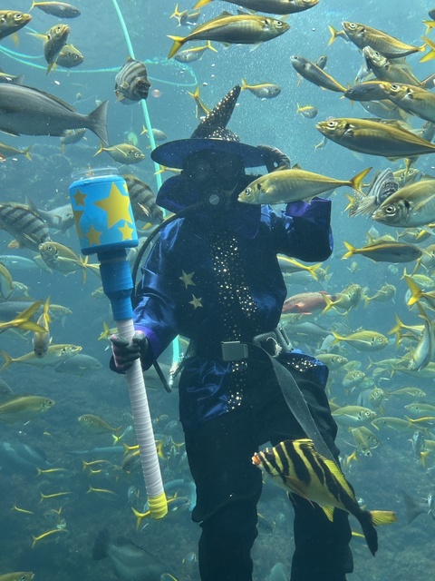 下田海中水族館に今年も仮装ダイバーがやってくる!