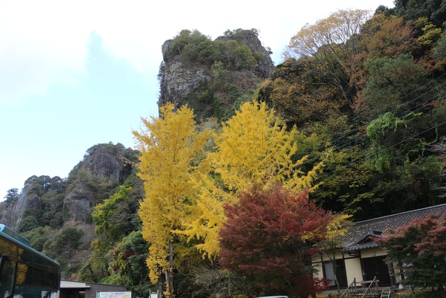 【紅葉・見ごろ】競秀峰・青の洞門
