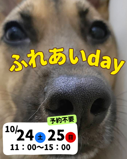 ふれあいday（10月）