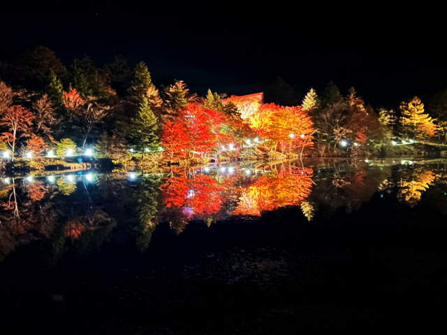 2026茶臼山高原紅葉ライトアップ