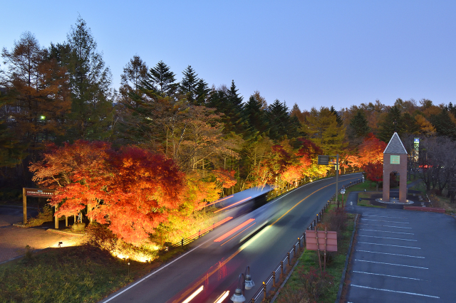 紅葉 道の駅 草津運動茶屋公園「紅葉ライトアップ」 | きたかんナビ