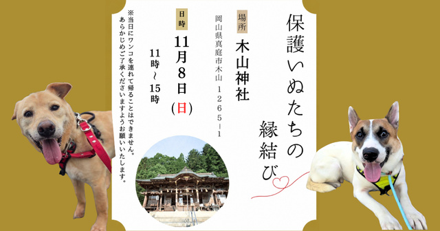 保護いぬたちの縁結び（11月）