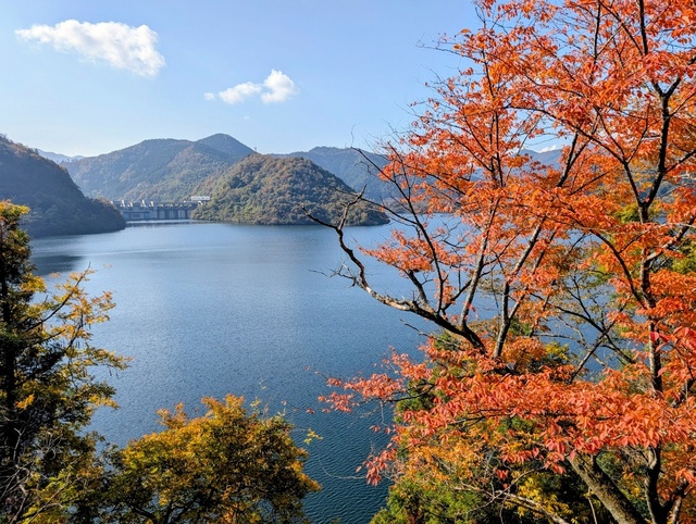 【紅葉・見ごろ】奥津湖・苫田ダム